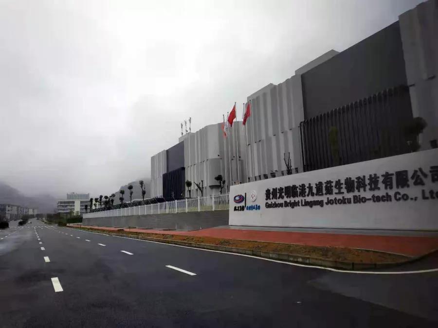 飞天激光助力贵州九道菇工厂周界安防建设，外围设备制造注入科技动能